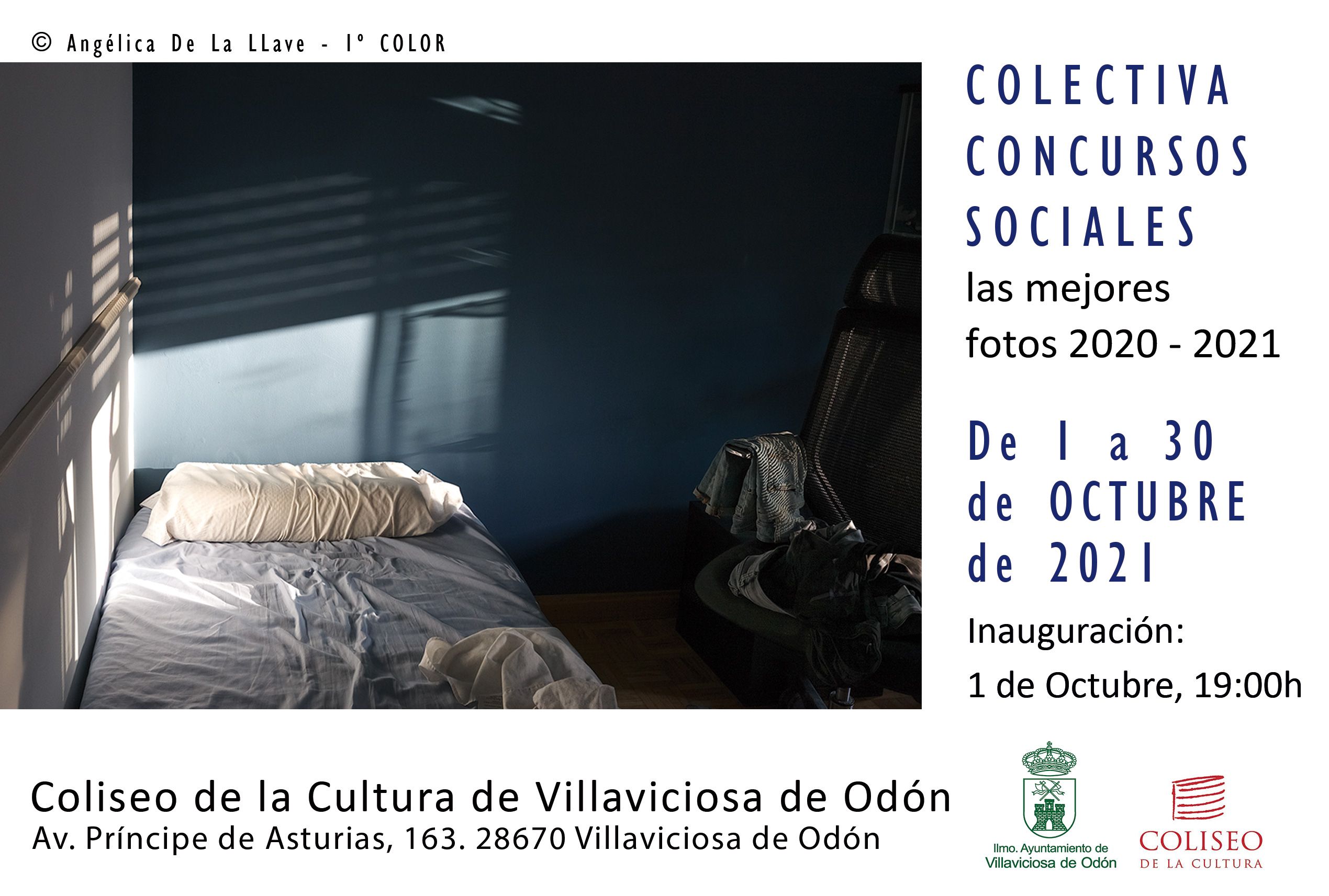 Exposiciones Exposiciones