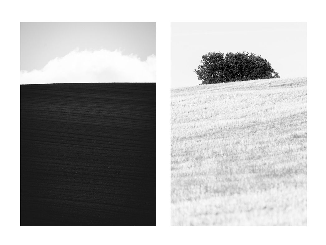 ©Carlos Molina Novoa