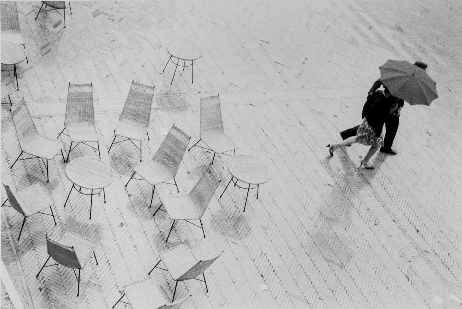 Exposiciones ©Muchnik-Spoleto 1964