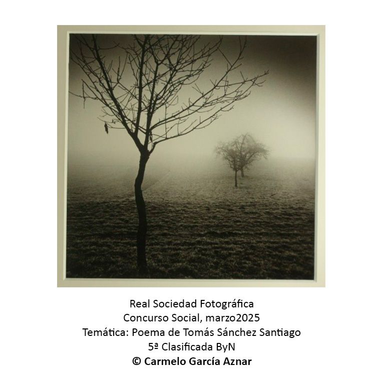 Concurso Social marzo 2025. Temática a partir de unos poemas de Tomás Sánchez Santiago, presentación online