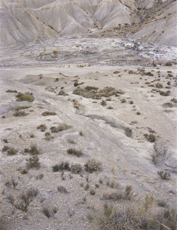 La Tierra Baldía – FERNANDO PUCHE