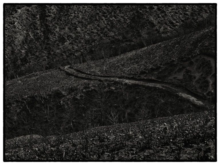 Luis de las Alas – Tierra quemada Luis de las Alas – Tierra quemada