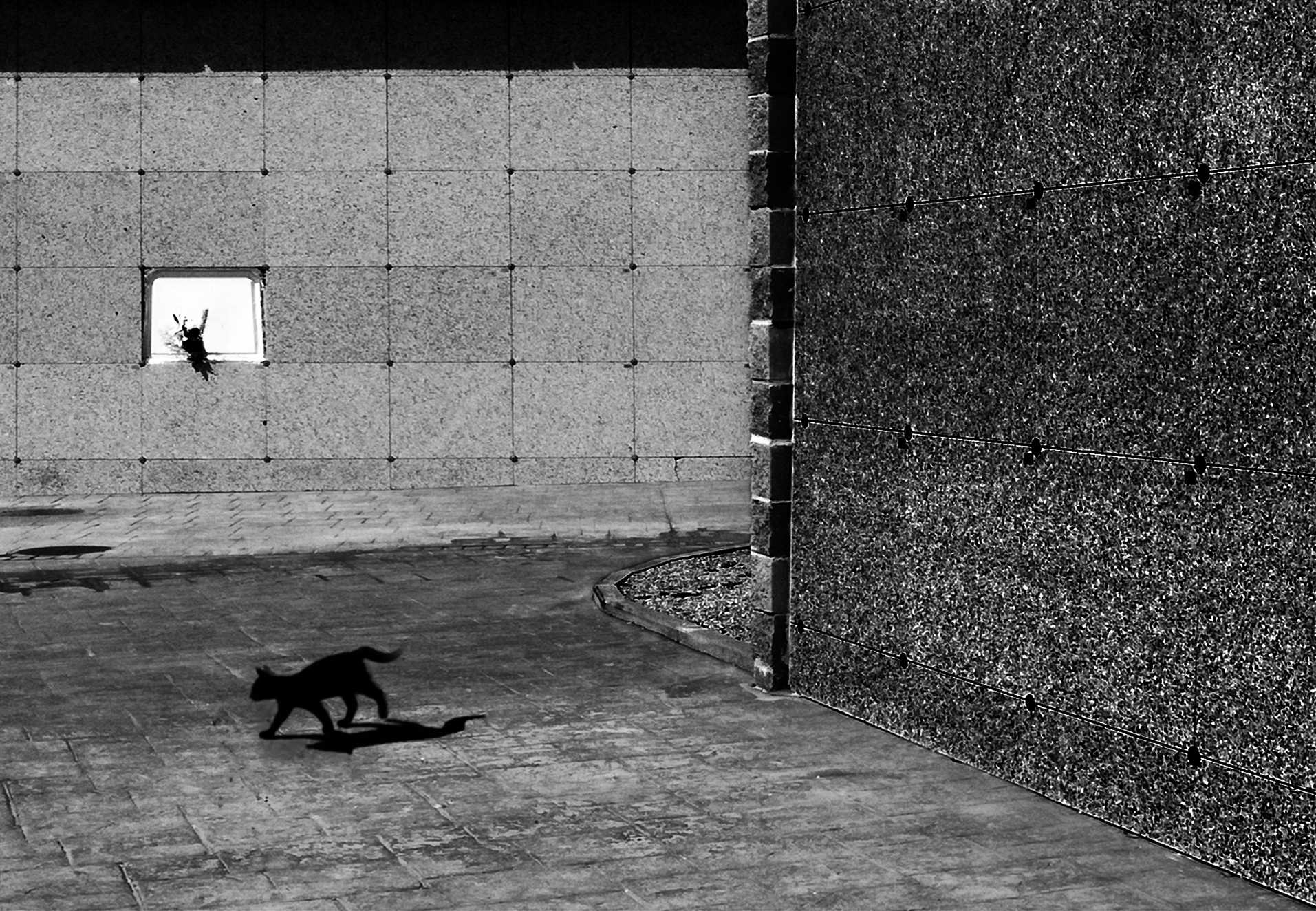 ©José Santos Mingot