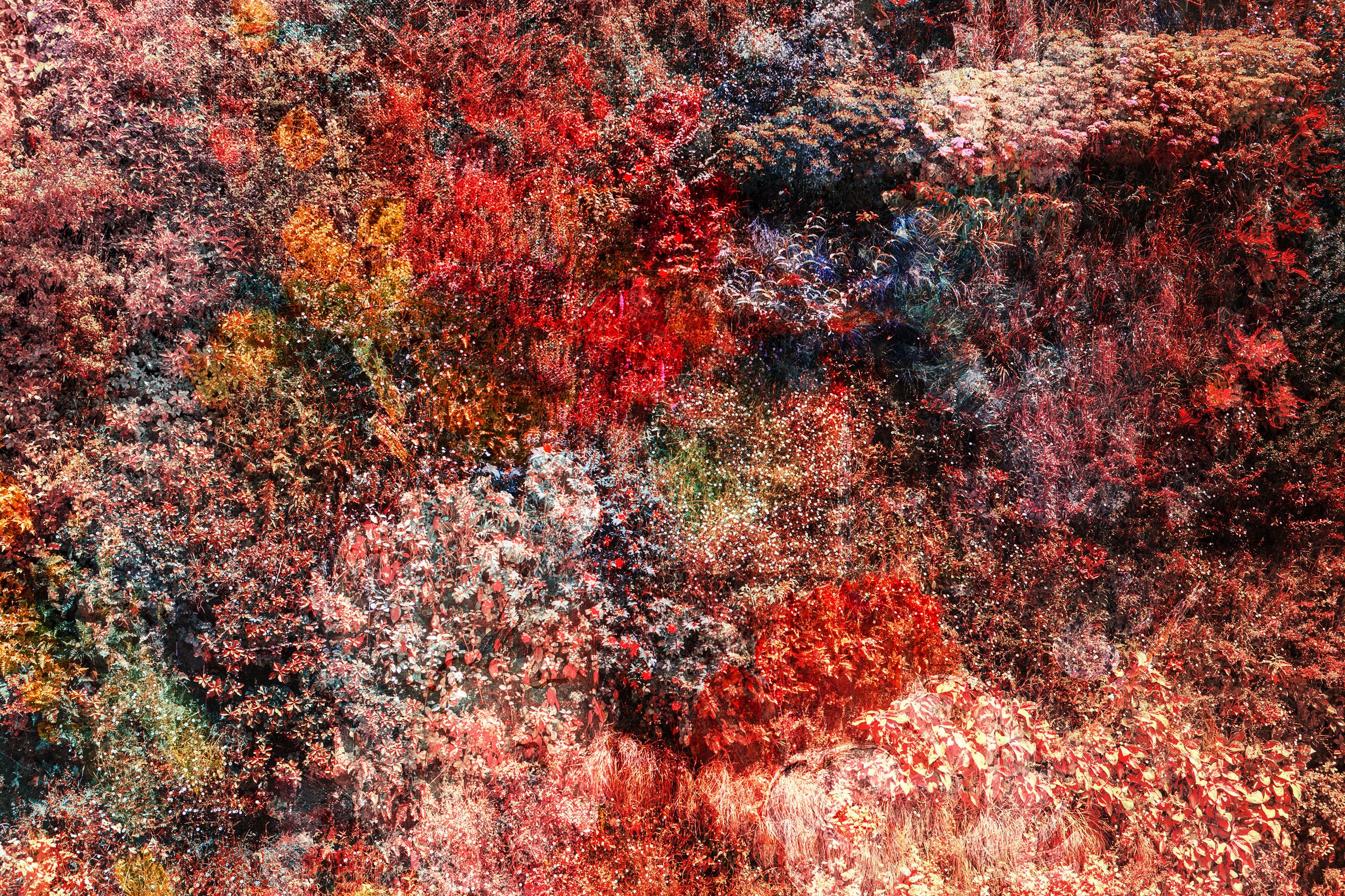 Wall of Nature - VIET HA TRAN Wall of Nature - VIET HA TRAN