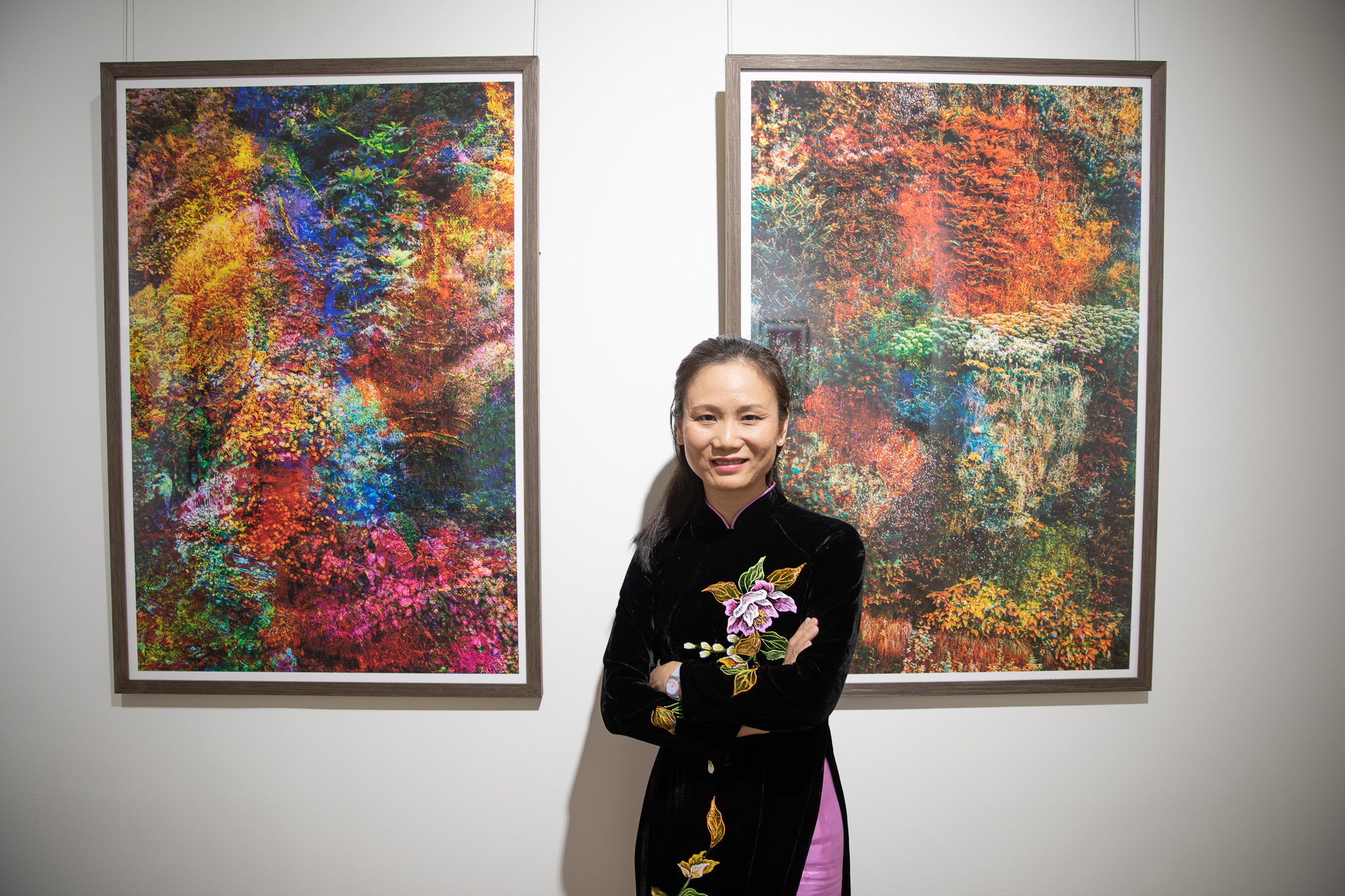 Imagen de Viet Ha Tran